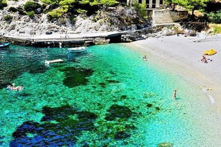 Santa Barbara Mljet apartment Babino Polje Bagian luar foto